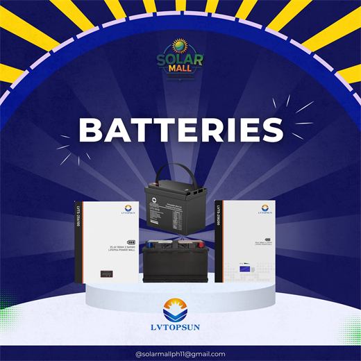 LVTOPSUN Batteries
